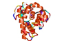 Oxidized/Nitrated Proteins